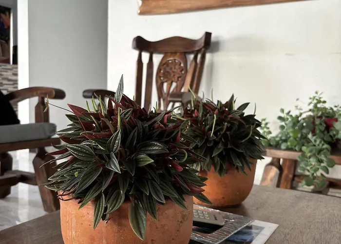 Finca El Recuerdo